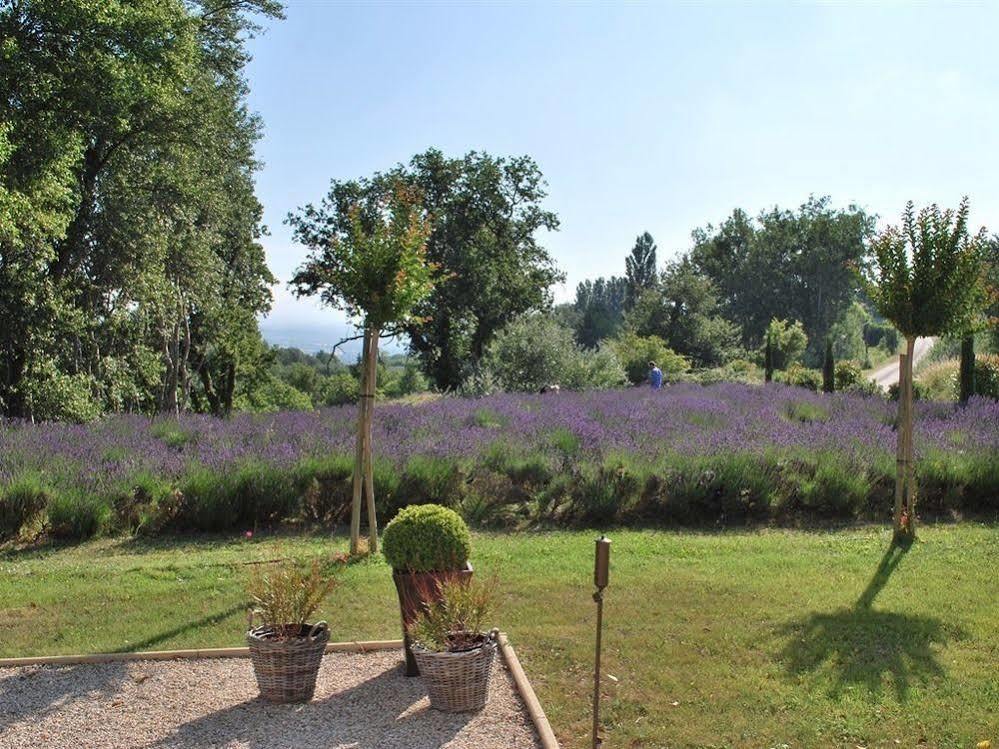Bed and Breakfast Domaine Le Bois Des Dames Chantemerle-lès-Grignan Esterno foto